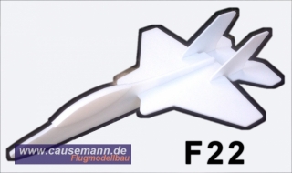 Wurfgleiter F22 *** NEU ***