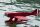 Magic-Planes "Macchi-MC72" Shockflyer / Parkflyer
