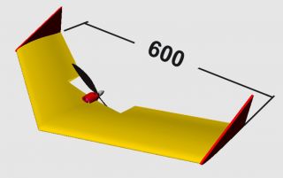 Der "unzerstörbare" NanoWing 60cm Spannweite