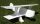 Pitts S1, SW 1000/1200mm / Doppeldecker / MagicPlanes / Shockflyer / Parkflyer