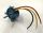 Brushless Motor L2204 125 Watt für Shockflyer / Parkflyer