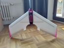 SUBWAY,  65cm Spannweite, Delta Racing Wing