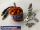 CC-Brushless Motor 2822-25 1450KV / 160 Watt