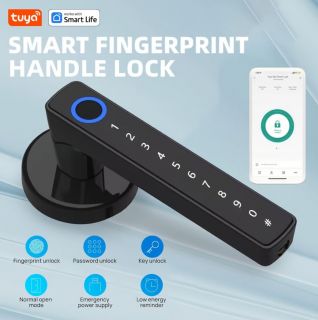 Tuya Smart Lock, Griffschloss