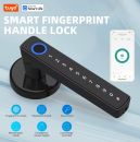 Tuya Smart Lock, Griffschloss